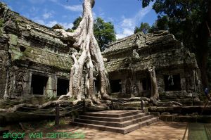 angor-wat.jpg