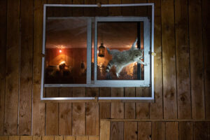 How do you get that damn window open by Nicolas-de-Vaulx