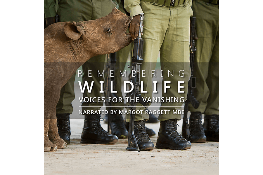 Remembering Wildlife Launches Voices for the Vanishing Audiobook
